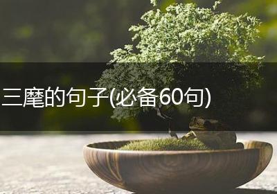 三麾的句子(必备60句)