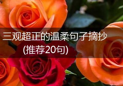 三观超正的温柔句子摘抄(推荐20句)