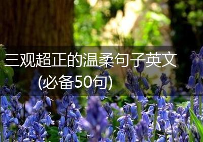 三观超正的温柔句子英文(必备50句)