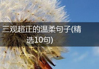 三观超正的温柔句子(精选10句)