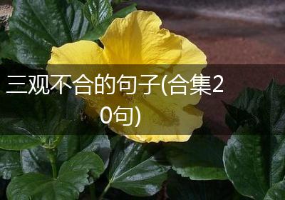 三观不合的句子(合集20句)