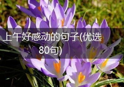上午好感动的句子(优选80句)