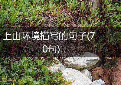 上山环境描写的句子(70句)