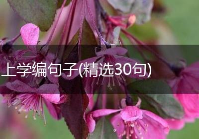 上学编句子(精选30句)