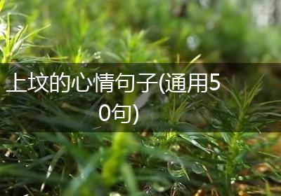 上坟的心情句子(通用50句)