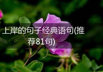 上岸的句子经典语句(推荐81句)