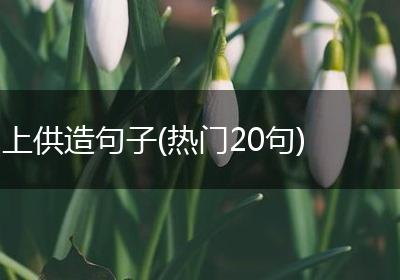 上供造句子(热门20句)