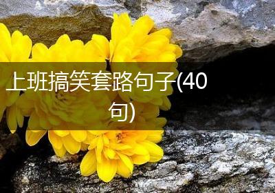 上班搞笑套路句子(40句)
