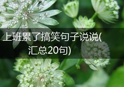 上班累了搞笑句子说说(汇总20句)