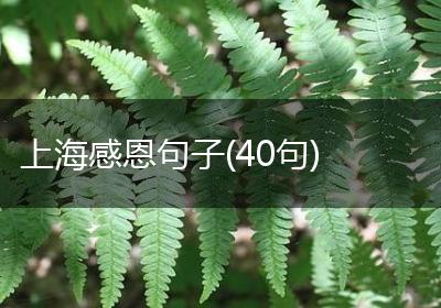 上海感恩句子(40句)