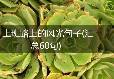 上班路上的风光句子(汇总60句)