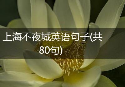 上海不夜城英语句子(共80句)