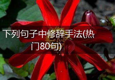 下列句子中修辞手法(热门80句)