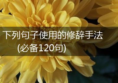 下列句子使用的修辞手法(必备120句)