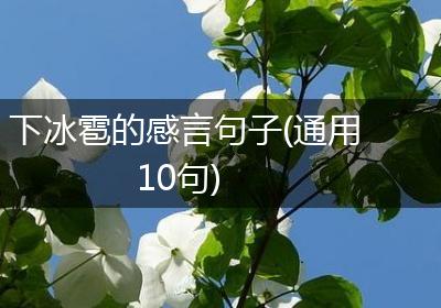 下冰雹的感言句子(通用10句)
