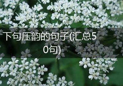 下句压韵的句子(汇总50句)