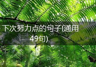 下次努力点的句子(通用49句)