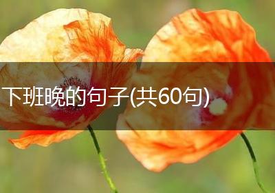 下班晚的句子(共60句)