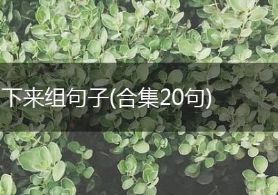 下来组句子(合集20句)