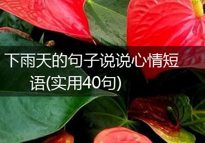 下雨天的句子说说心情短语(实用40句)