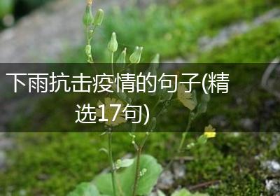 下雨抗击疫情的句子(精选17句)