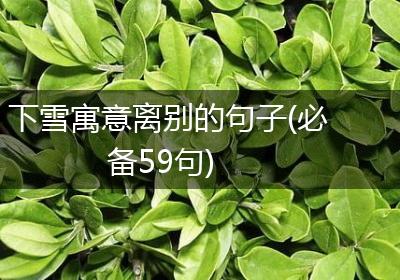 下雪寓意离别的句子(必备59句)
