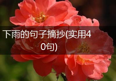 下雨的句子摘抄(实用40句)