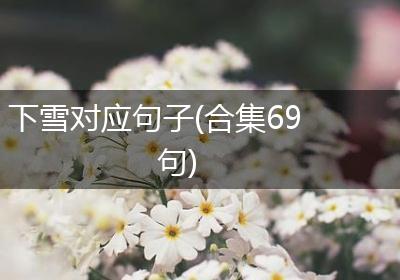 下雪对应句子(合集69句)