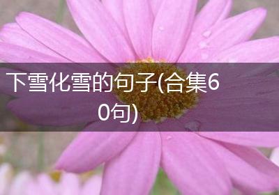 下雪化雪的句子(合集60句)