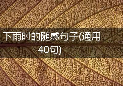下雨时的随感句子(通用40句)