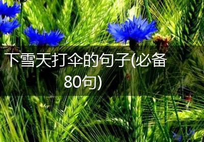 下雪天打伞的句子(必备80句)
