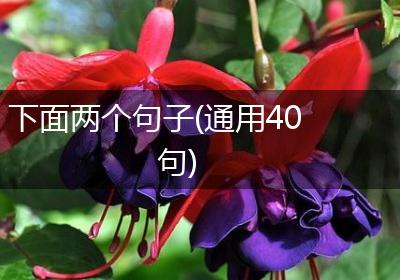 下面两个句子(通用40句)