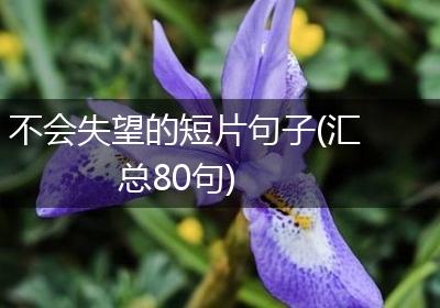 不会失望的短片句子(汇总80句)