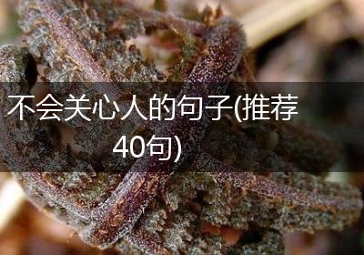 不会关心人的句子(推荐40句)