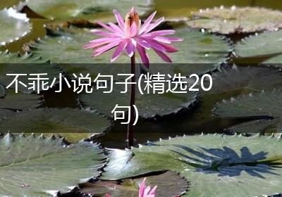 不乖小说句子(精选20句)
