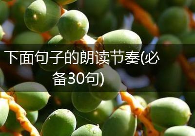 下面句子的朗读节奏(必备30句)