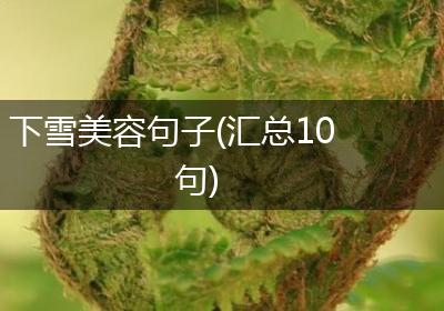 下雪美容句子(汇总10句)