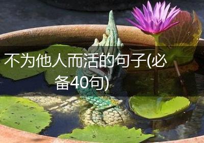 不为他人而活的句子(必备40句)