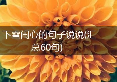 下雪闹心的句子说说(汇总60句)