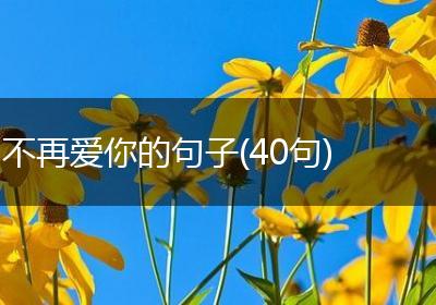 不再爱你的句子(40句)