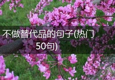 不做替代品的句子(热门50句)
