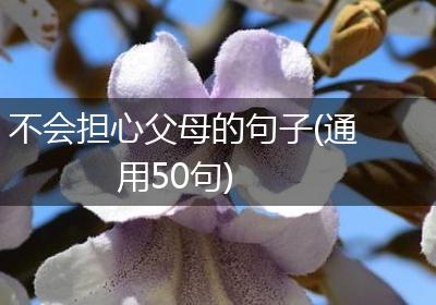 不会担心父母的句子(通用50句)