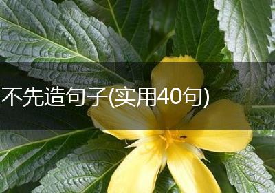不先造句子(实用40句)