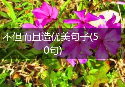不但而且造优美句子(50句)