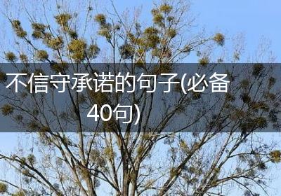 不信守承诺的句子(必备40句)