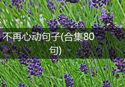 不再心动句子(合集80句)