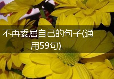 不再委屈自己的句子(通用59句)