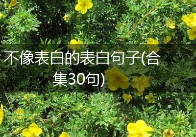 不像表白的表白句子(合集30句)