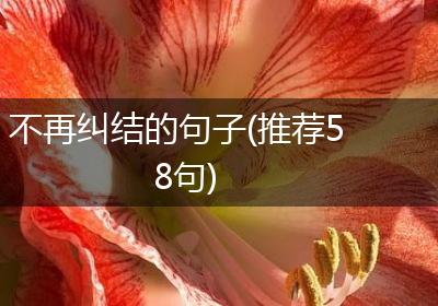 不再纠结的句子(推荐58句)