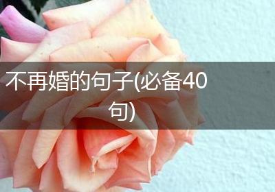 不再婚的句子(必备40句)